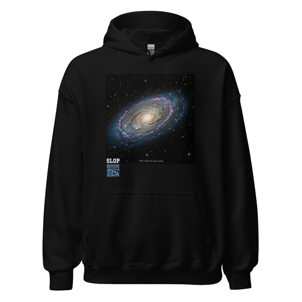 Cosmic Solitude: Our Insignificant Beauty — Hoodie